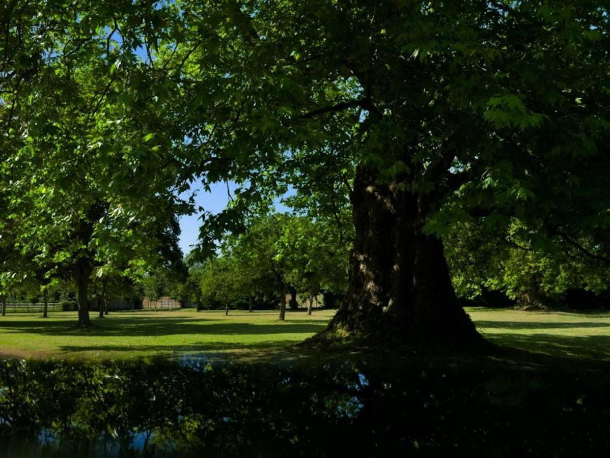 Chateau De Monceaux 5Mn De Bayeux Proche Mer Екстер'єр фото